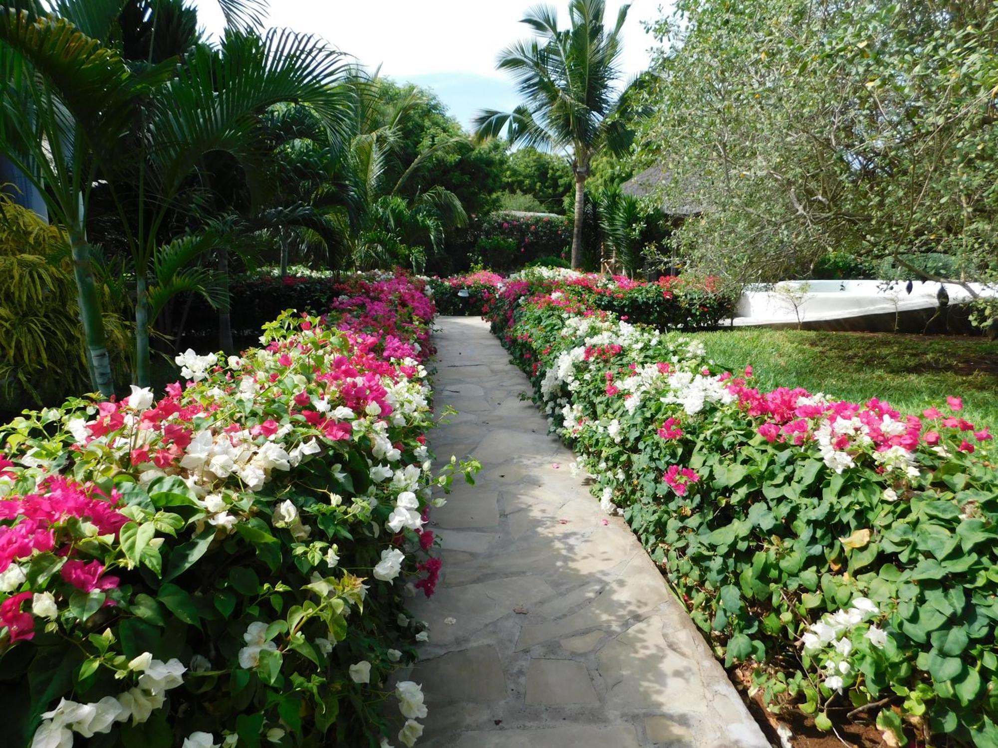 Dama Villa Watamu Εξωτερικό φωτογραφία